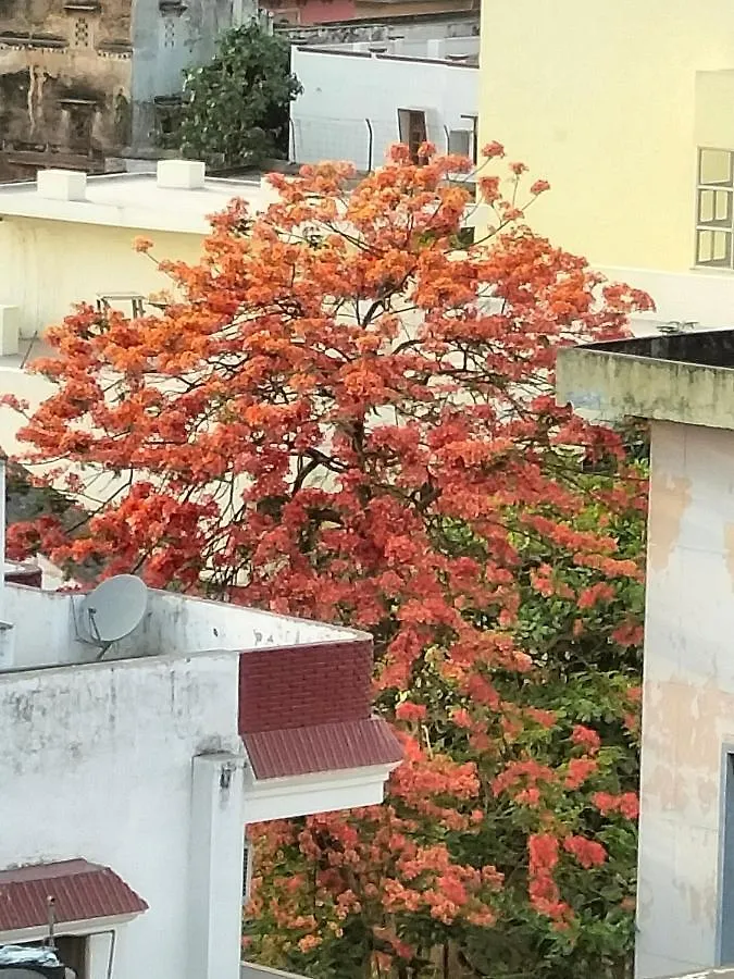 *****  Purple Lotus Hotel Varanasi India